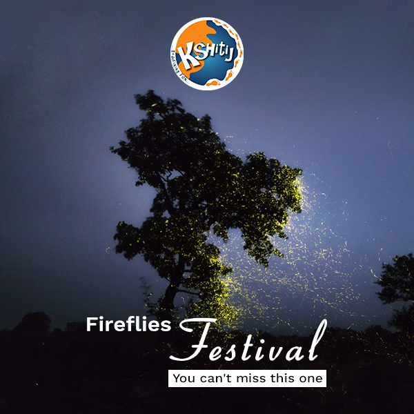Glow up your weekend with Festival of Fireflies!